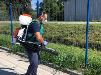 Dezinsectie - deratizare si dezinfectie - Bucuresti si Ilfov
