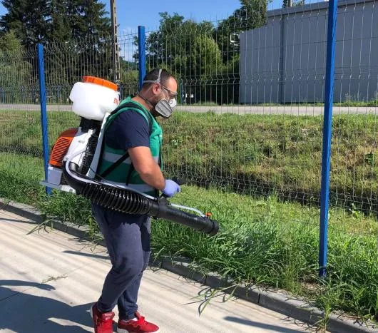 Dezinsectie - deratizare si dezinfectie - Bucuresti si Ilfov