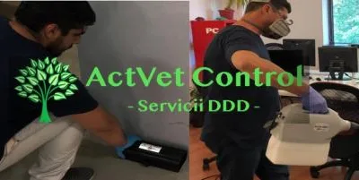 Dezinsectie - deratizare si dezinfectie - Bucuresti si Ilfov
