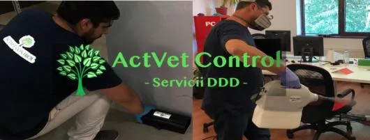 Dezinsectie - deratizare si dezinfectie - Bucuresti si Ilfov