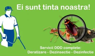 Deratizare - dezinsectie - dezinfectie si curatenie profesionala - Bucuresti