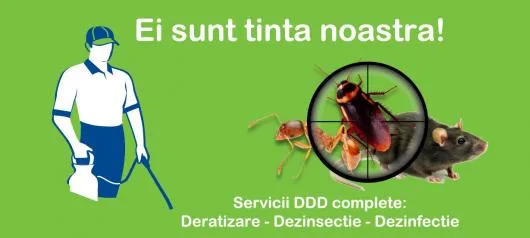 Deratizare - dezinsectie - dezinfectie si curatenie profesionala - Bucuresti