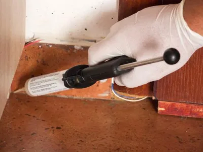 Deratizare - dezinsectie - dezinfectie si curatenie profesionala - Bucuresti