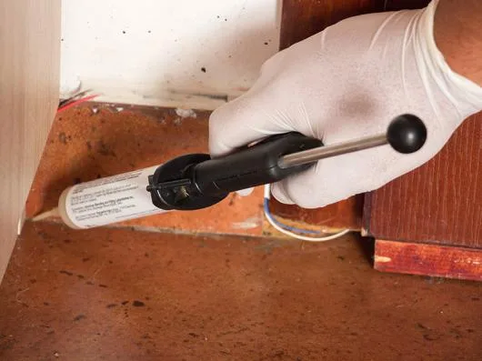 Deratizare - dezinsectie - dezinfectie si curatenie profesionala - Bucuresti