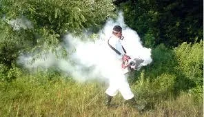 Deratizare - dezinsectie - dezinfectie si curatenie profesionala - Bucuresti