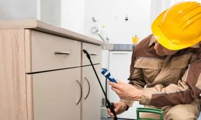 Deratizare - dezinsectie - dezinfectie si curatenie profesionala - Bucuresti