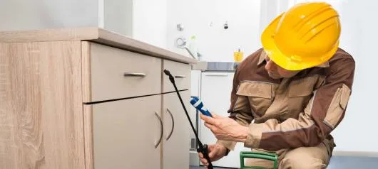 Deratizare - dezinsectie - dezinfectie si curatenie profesionala - Bucuresti