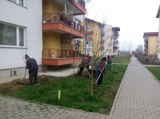 Iasi - Administrare imobile