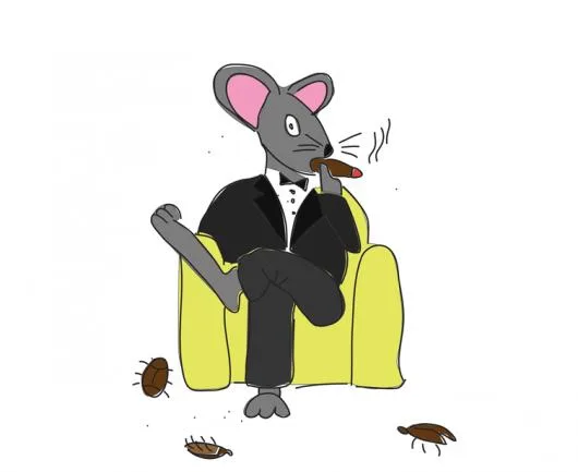 Administrare imobile Bucuresti