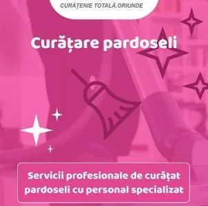 Enklean Servicii curatenie Arad