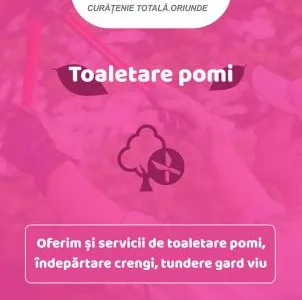 Enklean Servicii curatenie Arad