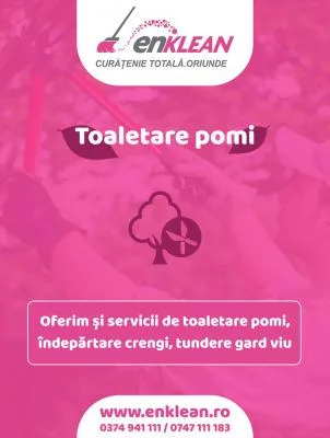Enklean Servicii curatenie Arad
