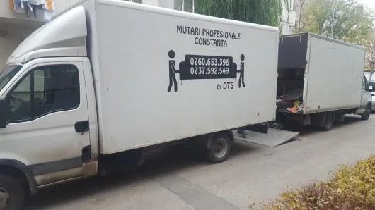 Mutari profesionale - Constanta