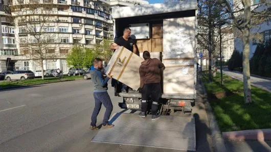 Mutari profesionale - Constanta
