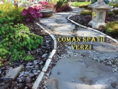 Timisoara - Amenajare si intretinere spatii verzi