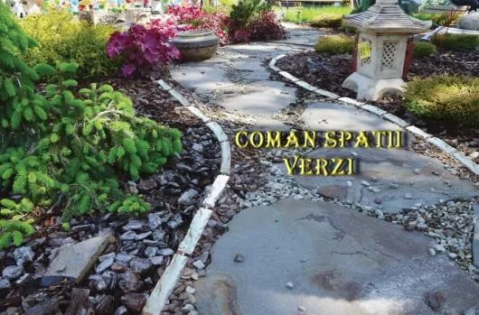 Timisoara - Amenajare si intretinere spatii verzi