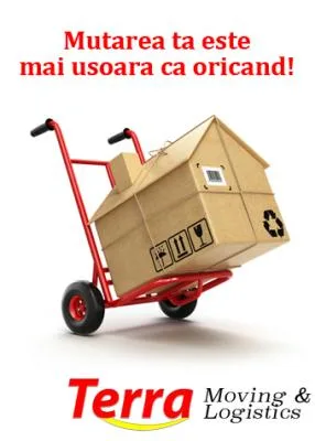 Servicii mutari national si international - Bucuresti