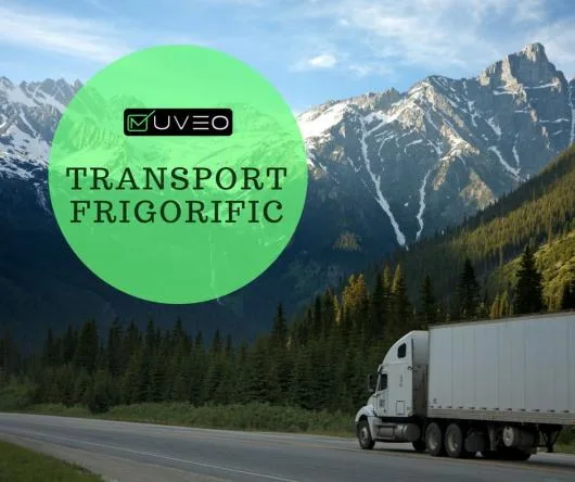 Transport marfa si logistica - intern si international - Bucuresti