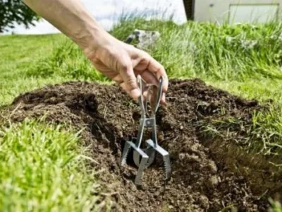 Timisoara - Combatere cartitelor si a daunatorilor din gazon