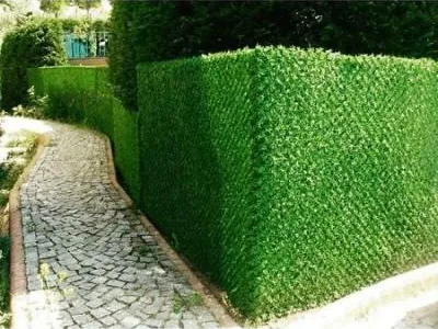 Tancabesti / Ilfov - Decoratiuni pentru casa si gradina