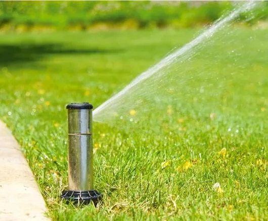 Flora Service Servicii gradinarit Neamt