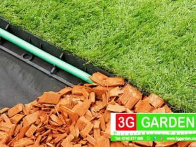 Timisoara - Furnizare de plante ornamentale