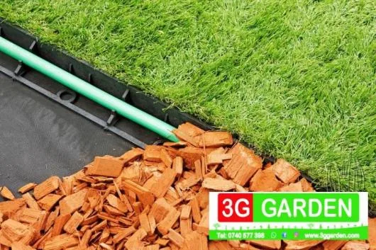 Timisoara - Furnizare de plante ornamentale