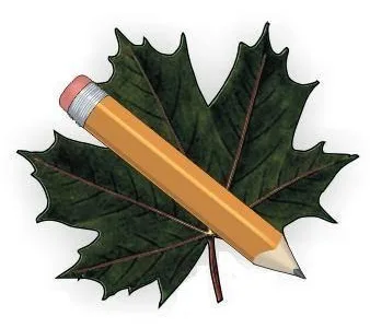 Sfantu Gheorghe / Covasna - Amenajare - proiectare - intretinere gradini