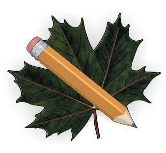 Sfantu Gheorghe / Covasna - Amenajare - proiectare - intretinere gradini