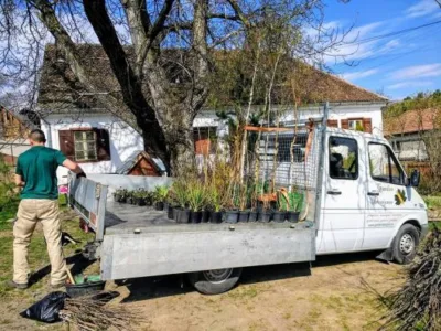 Sfantu Gheorghe / Covasna - Amenajare - proiectare - intretinere gradini