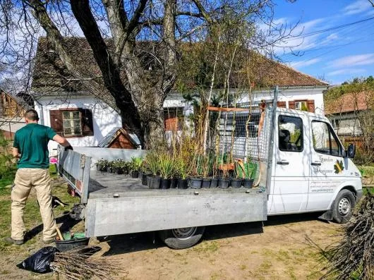 Sfantu Gheorghe / Covasna - Amenajare - proiectare - intretinere gradini