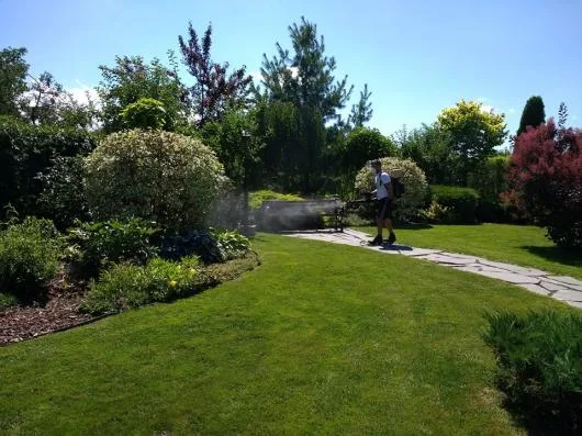 Sfantu Gheorghe / Covasna - Amenajare - proiectare - intretinere gradini