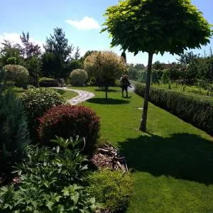 Sfantu Gheorghe / Covasna - Amenajare - proiectare - intretinere gradini