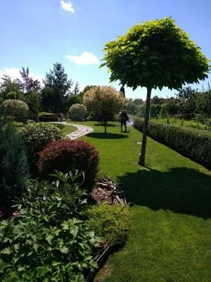 Sfantu Gheorghe / Covasna - Amenajare - proiectare - intretinere gradini