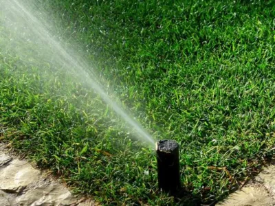 Sfantu Gheorghe / Covasna - Amenajare - proiectare - intretinere gradini