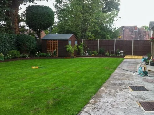 Sfantu Gheorghe / Covasna - Amenajare - proiectare - intretinere gradini