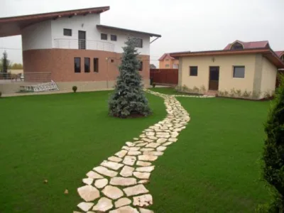 Targoviste - Plante - arbori si arbusti ornamentali