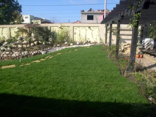 Targoviste - Plante - arbori si arbusti ornamentali