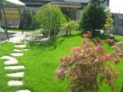 Sisteme de irigare - gazon Timis