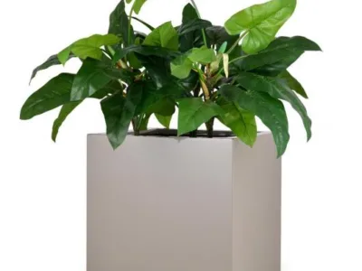 Bucuresti - Mobilier si decoratiuni exterioare