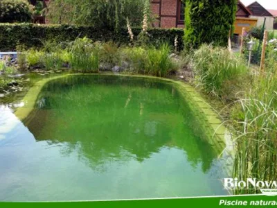 Alba Iulia - Piscine naturale pentru gradina