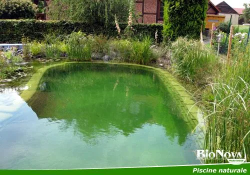 Alba Iulia - Piscine naturale pentru gradina