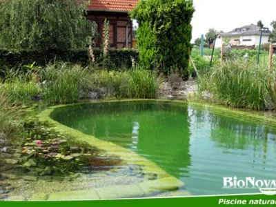 Alba Iulia - Piscine naturale pentru gradina
