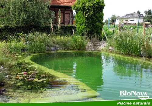 Alba Iulia - Piscine naturale pentru gradina