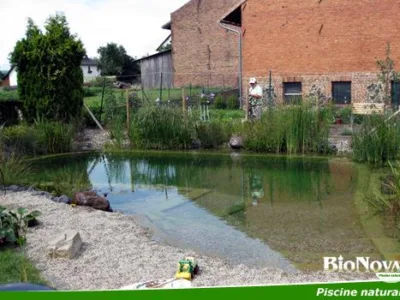 Alba Iulia - Piscine naturale pentru gradina
