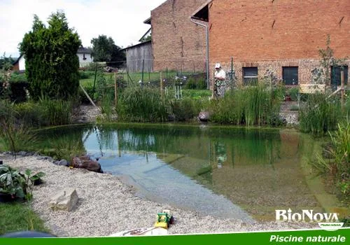 Alba Iulia - Piscine naturale pentru gradina