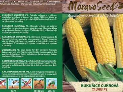 Bucuresti - Material saditor - masini si unelte agricole