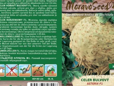 Bucuresti - Material saditor - masini si unelte agricole