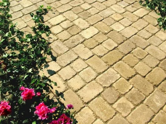Pavaje si borduri stradale - Crivina / Giurgiu