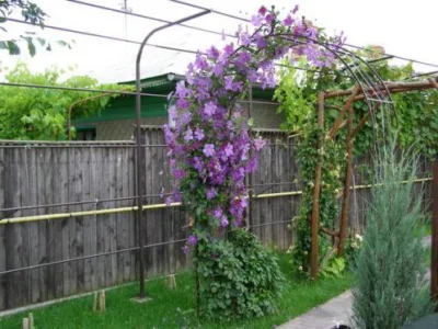 Confectii metalice - Brazi / Prahova